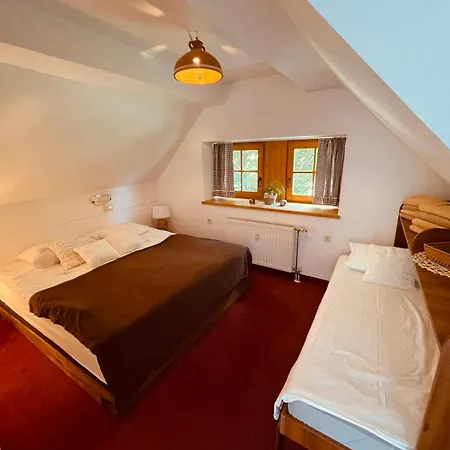 Apartma Orhideja *